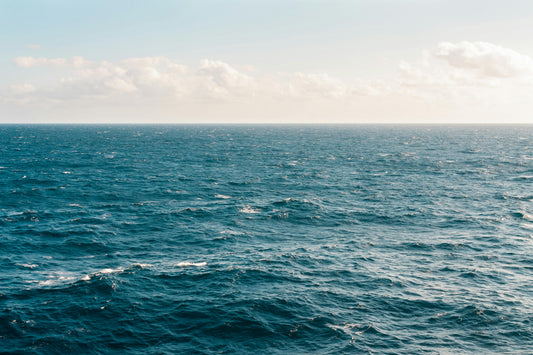 Everyday Sustainability Through Ocean Perspectives