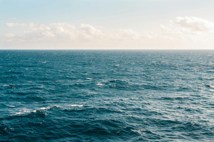 Everyday Sustainability Through Ocean Perspectives