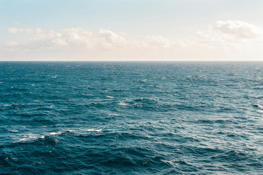 Everyday Sustainability Through Ocean Perspectives